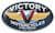 Polaris Victory Motorcycle Batteries