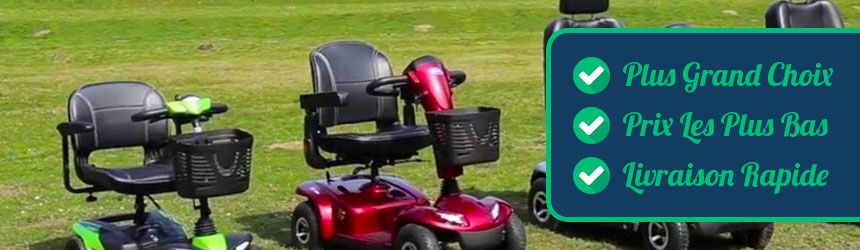 Batteries de Mobilité