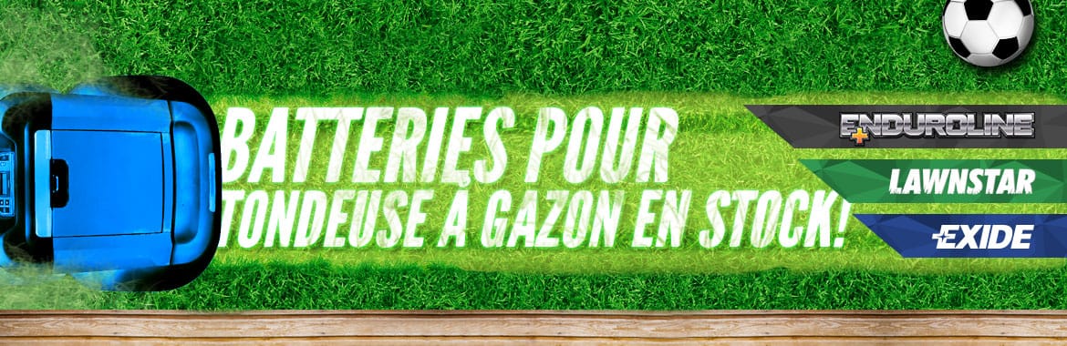 Batteries Tondeuse
