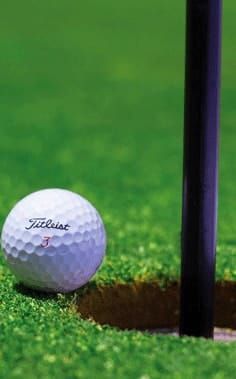 Golf Batteries By Battery Brand