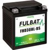 Fulbat FHD30HL-BS GEL