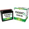 Fulbat FTX20-BS