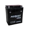 Numax YTX7LBS