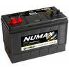 Numax XV31MF