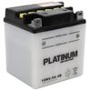 Platinum 12N5.5A-3B