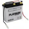 Platinum 6N4B-2A