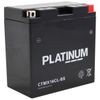 Platinum CTMX16CL-BS