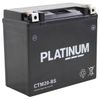 Platinum CTM20-BS