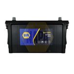 NAPA Car Battery NX100N