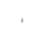 Bosch U10 Blb289 Bulb W/S Pack T/Light 1987302508