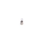 Bosch U10 T4w Eco Truck Bulb 1987302870