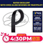 Gates 7 Rib Multi V Drive Belt 78413