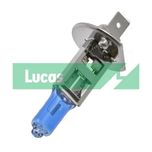 Lucas H1 Rally Blue Bulb X2 LLX481BLX2