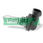 Lucas Headlight Bulb LLX9005BL