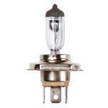 Ring Automotive 12v 130/90w H4 P43t Raly Spth/Lamp R490