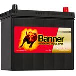 048 EFB Banner Running Bull Car Battery (55515)