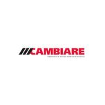 Cambiare Exhaust Pressure Sensor VE393032