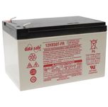 HX50-12 FR EnerSys DataSafe SLA Battery 12v 11Ah (12HX50T-FR) 