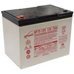EnerSys NP75-12