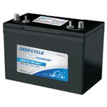 Leoch Superior Lead Carbon AGM 115Ah Battery (LDC12-105-G27-DT)