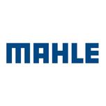 Mahle Oil Filter OC229