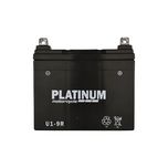 Platinum Hp Mf Agm 24ah 280cca Wc 1yr U1-9R
