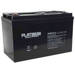 PAGM120-12 PLATINUM VRLA Battery 