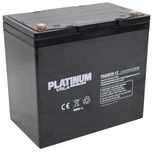 PAGM55-12 PLATINUM VRLA Battery