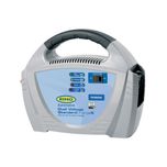RING RCB206 Battery Charger 6V/12V 6A