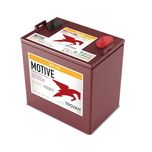 Trojan 8v 158ah T875-AES