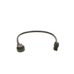 Bosch Knock Sensor 0261231007