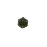 Bosch Fuel Pressure Sensor 0281006327