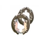 Bosch Brake Shoes Set 0986487898