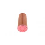 Bosch Air Filter 1457433558