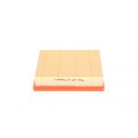 Bosch Air Filter 1457433585