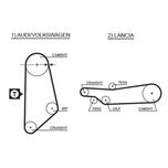 Gates Timing Belt 5031