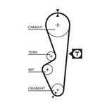 Gates Timing Belt 5070