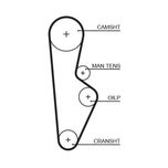 Gates Timing Belt 5082XS