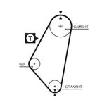 Gates Timing Belt 5083