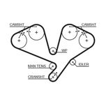 Gates Timing Belt 5353XS