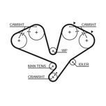 Gates Timing Belt 5442XS