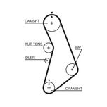 Gates Timing Belt 5491XS