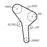 Gates Timing Belt 5564XS