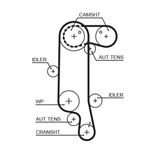 Gates Timing Belt 5565XS