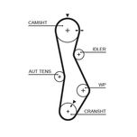 Gates Timing Belt 5579XS