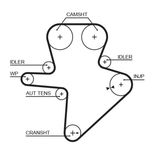 Gates Timing Belt 5586XS