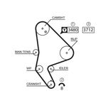 Gates Timing Belt 5590XS