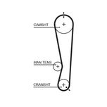 Gates Timing Belt 5591XS