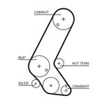 Gates Timing Belt 5595XS