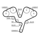 Gates Timing Belt 5602XS